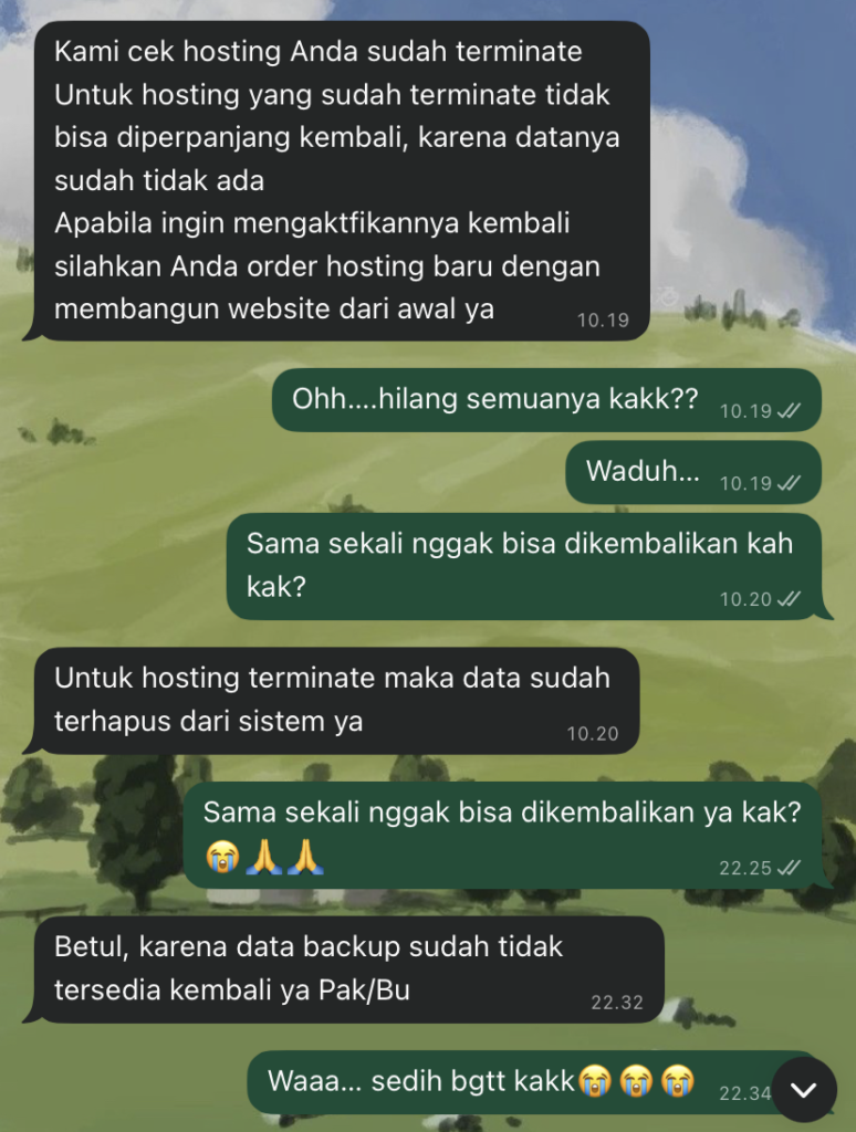 My chat with the hosting's customer service